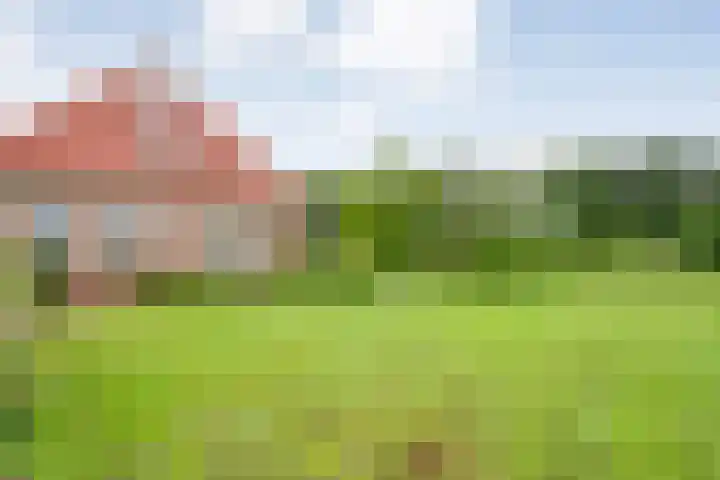 Wittelterweg 6 Diever thumbnail 63