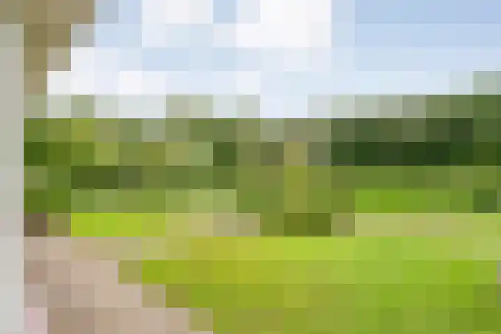 Wittelterweg 6 Diever thumbnail 64