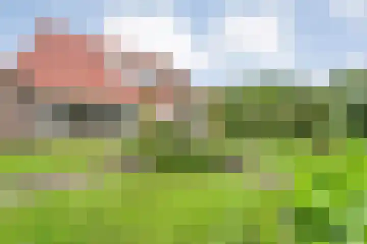 Wittelterweg 6 Diever thumbnail 66