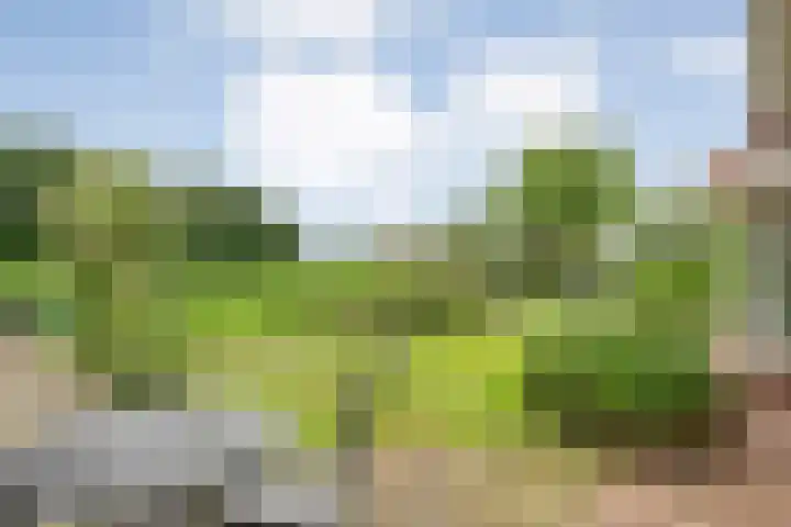 Wittelterweg 6 Diever thumbnail 67