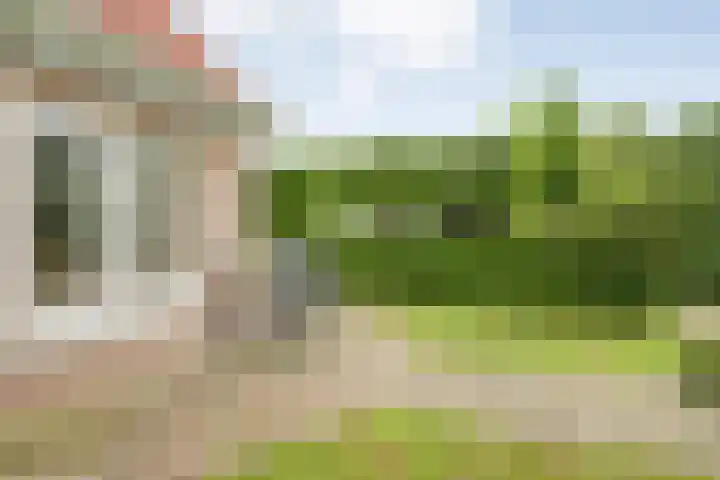 Wittelterweg 6 Diever thumbnail 68