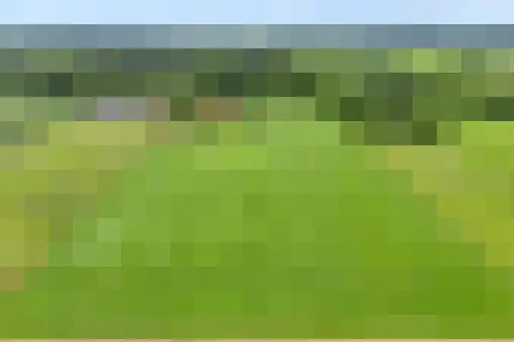 Wittelterweg 6 Diever thumbnail 7