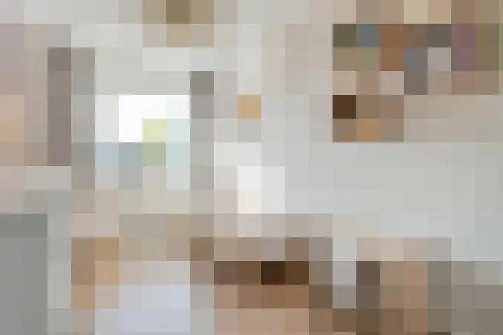 Wittem 3 Almelo thumbnail 21