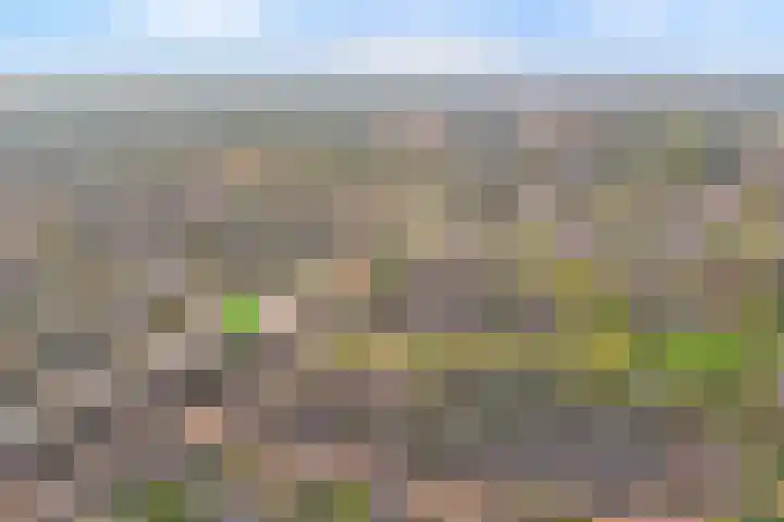 Wittem 3 Almelo thumbnail 33