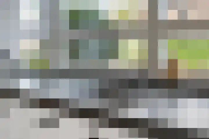 Wittem 3 Almelo thumbnail 9