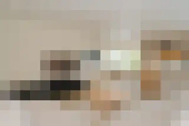 Wittem 30 Almelo thumbnail 11