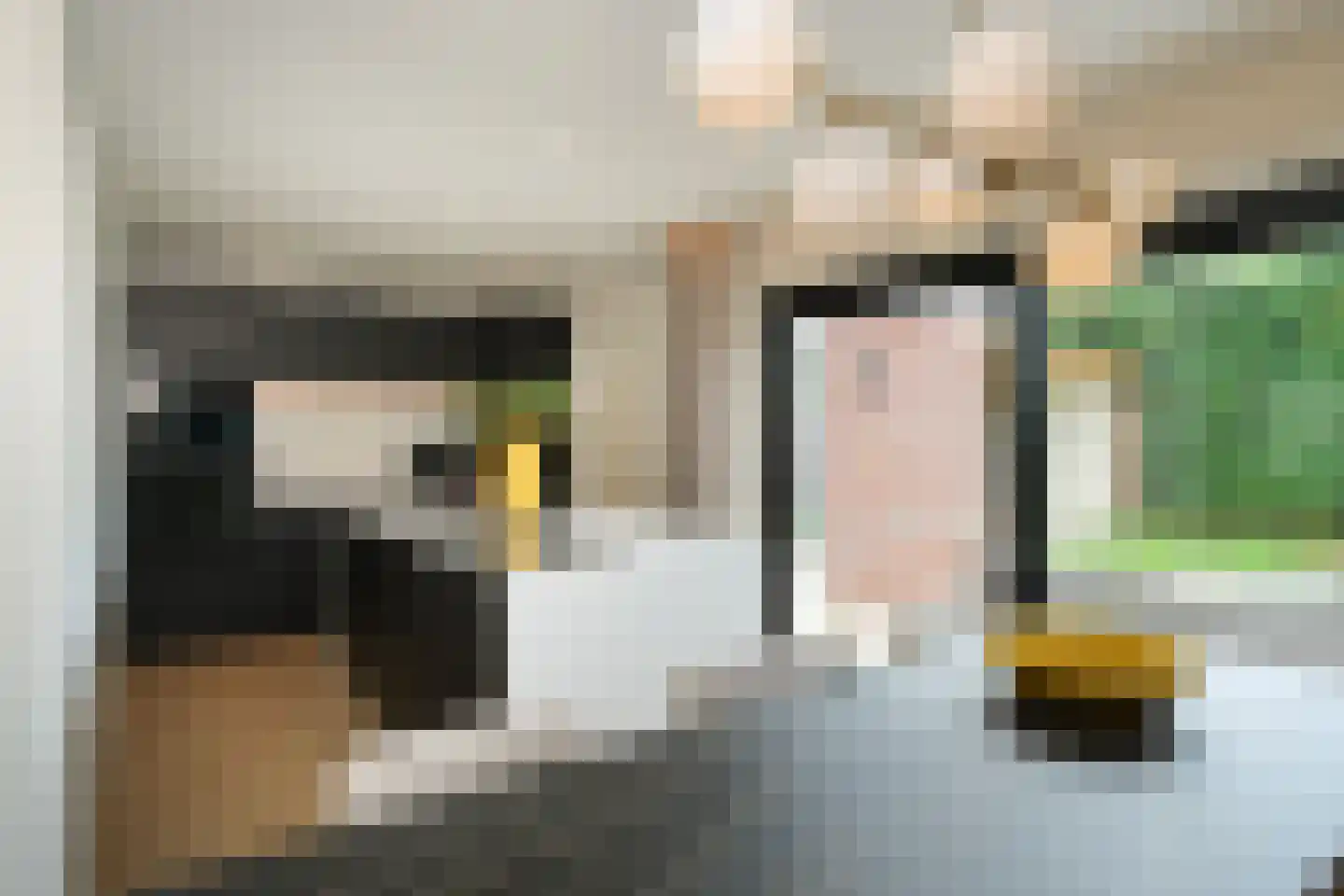 Wittem 30 Almelo thumbnail 14
