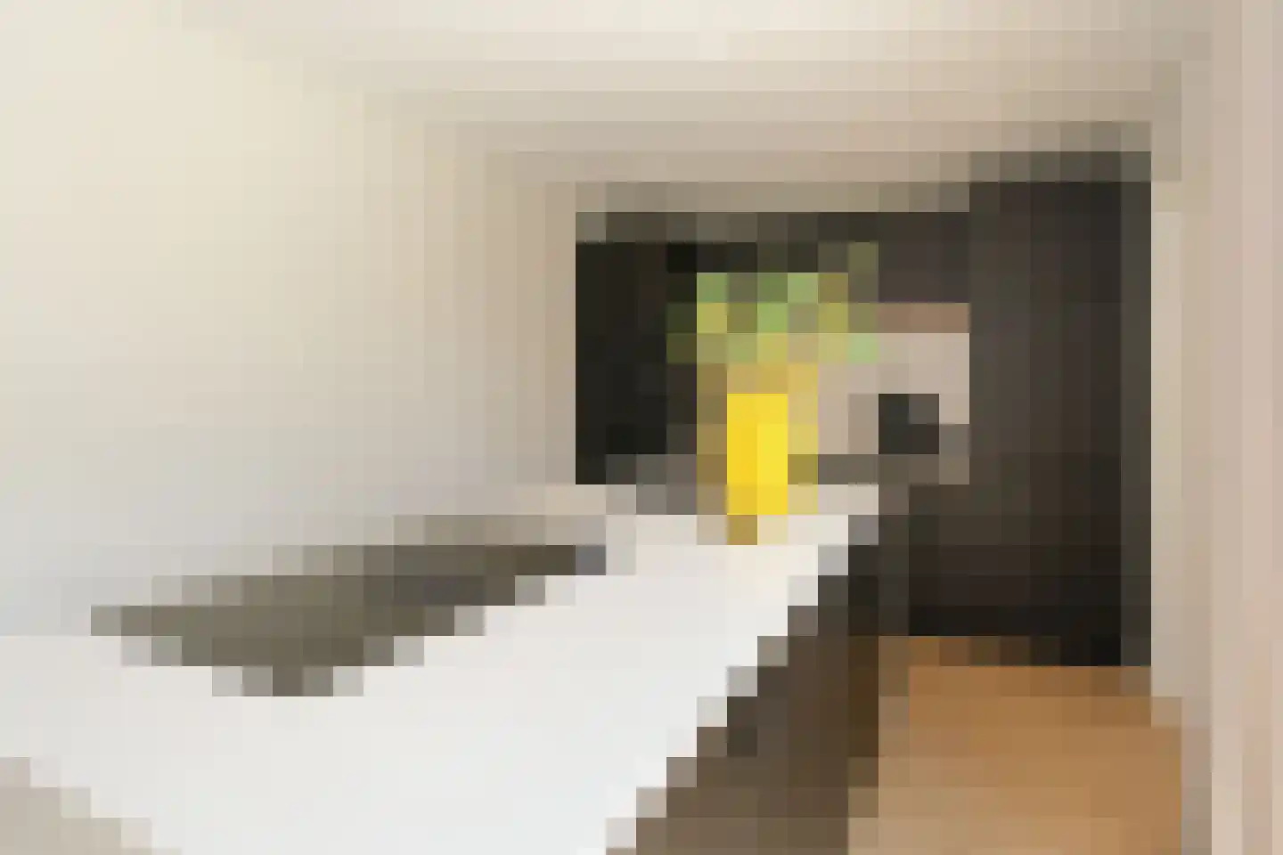 Wittem 30 Almelo thumbnail 16
