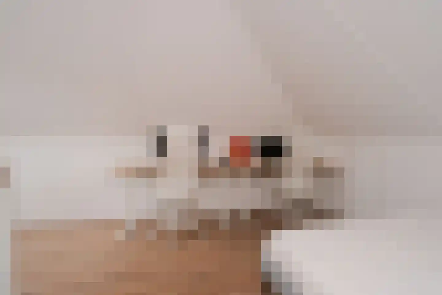 Wittem 30 Almelo thumbnail 35