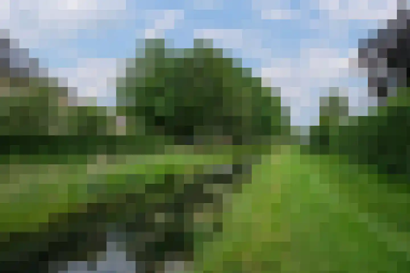 Wittem 30 Almelo thumbnail 44