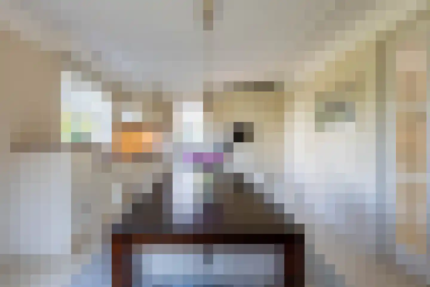 Wittem 33 Almelo thumbnail 15
