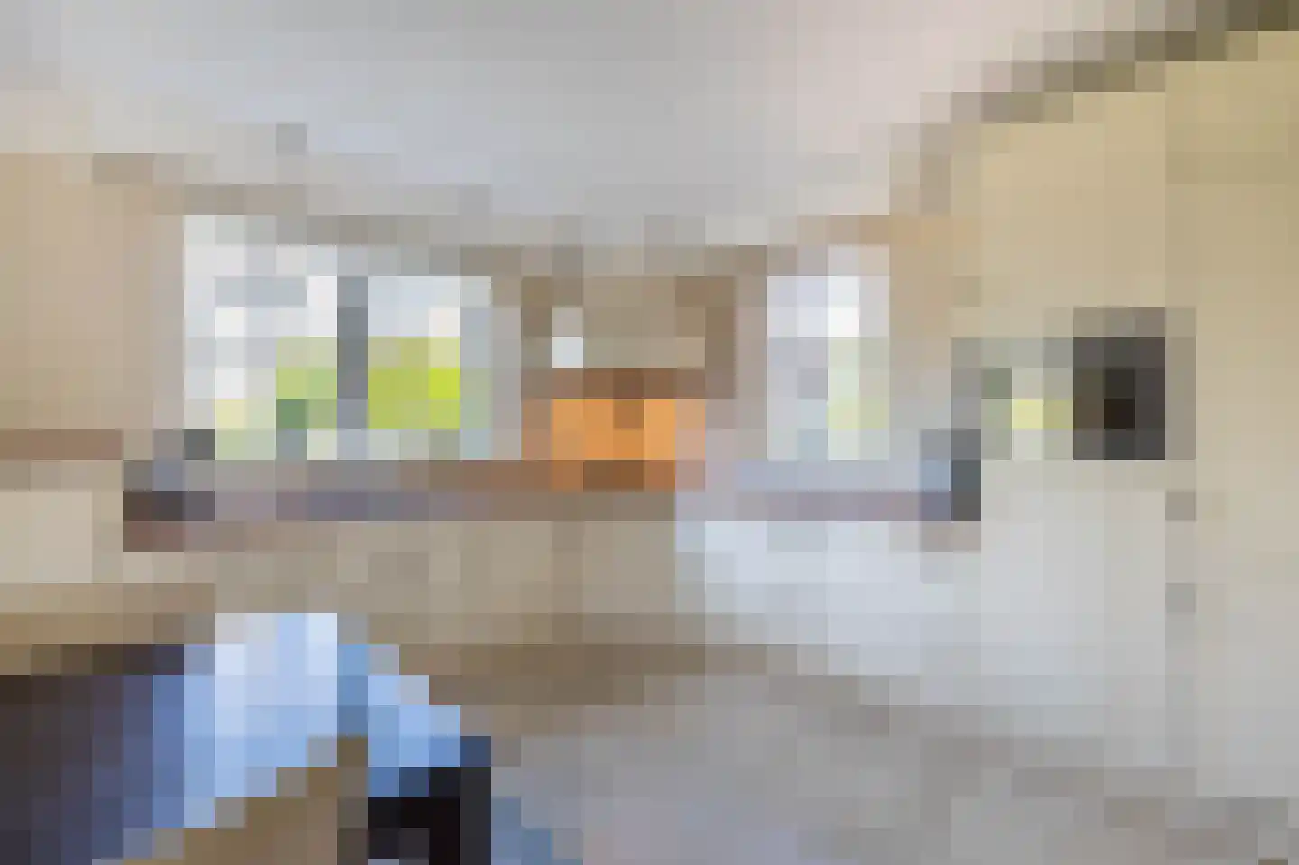 Wittem 33 Almelo thumbnail 17