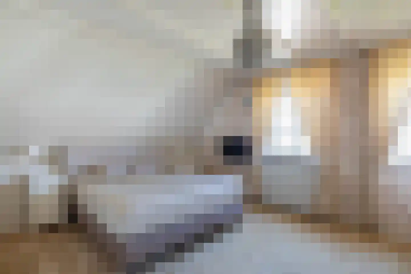 Wittem 33 Almelo thumbnail 24