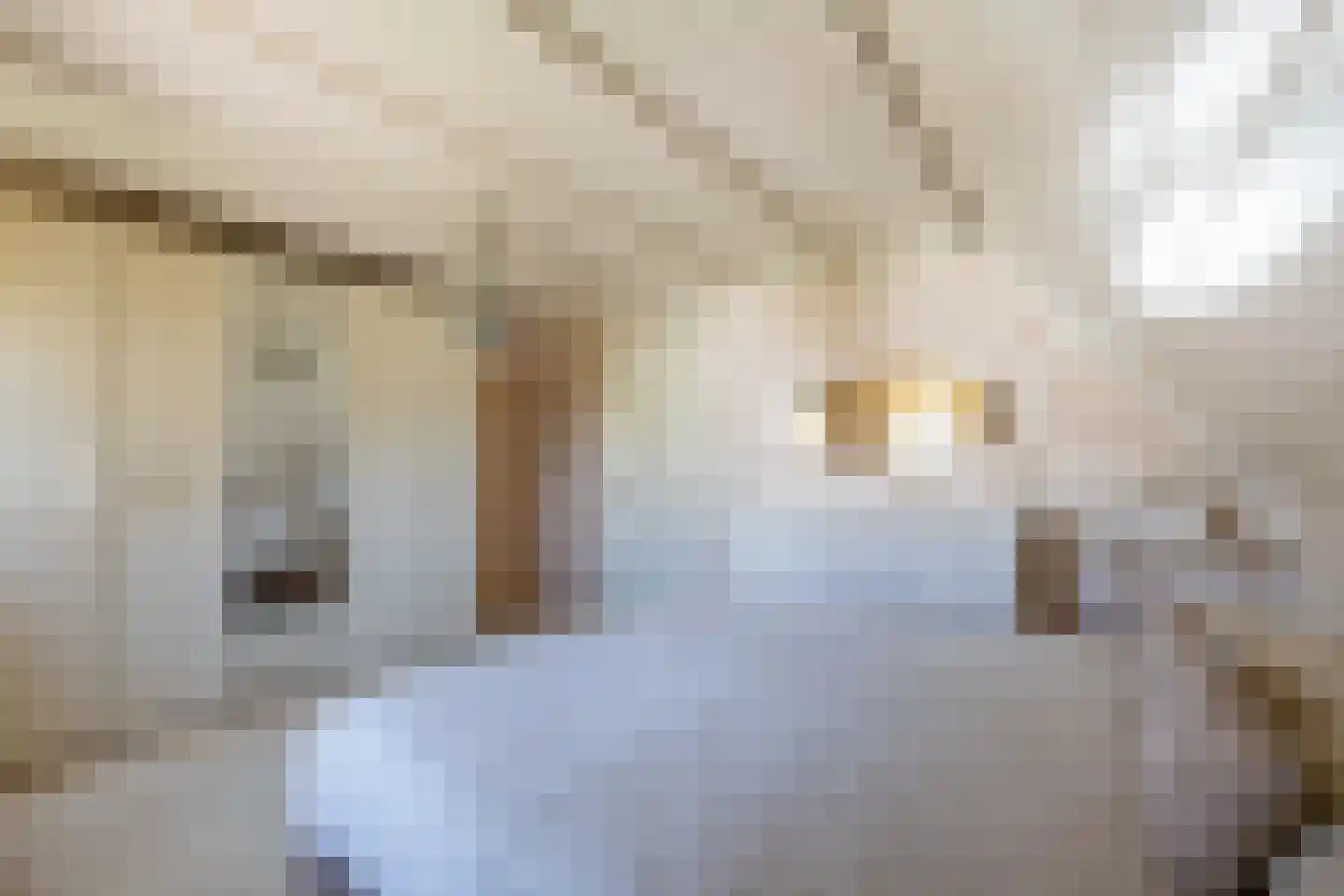 Wittem 33 Almelo thumbnail 25