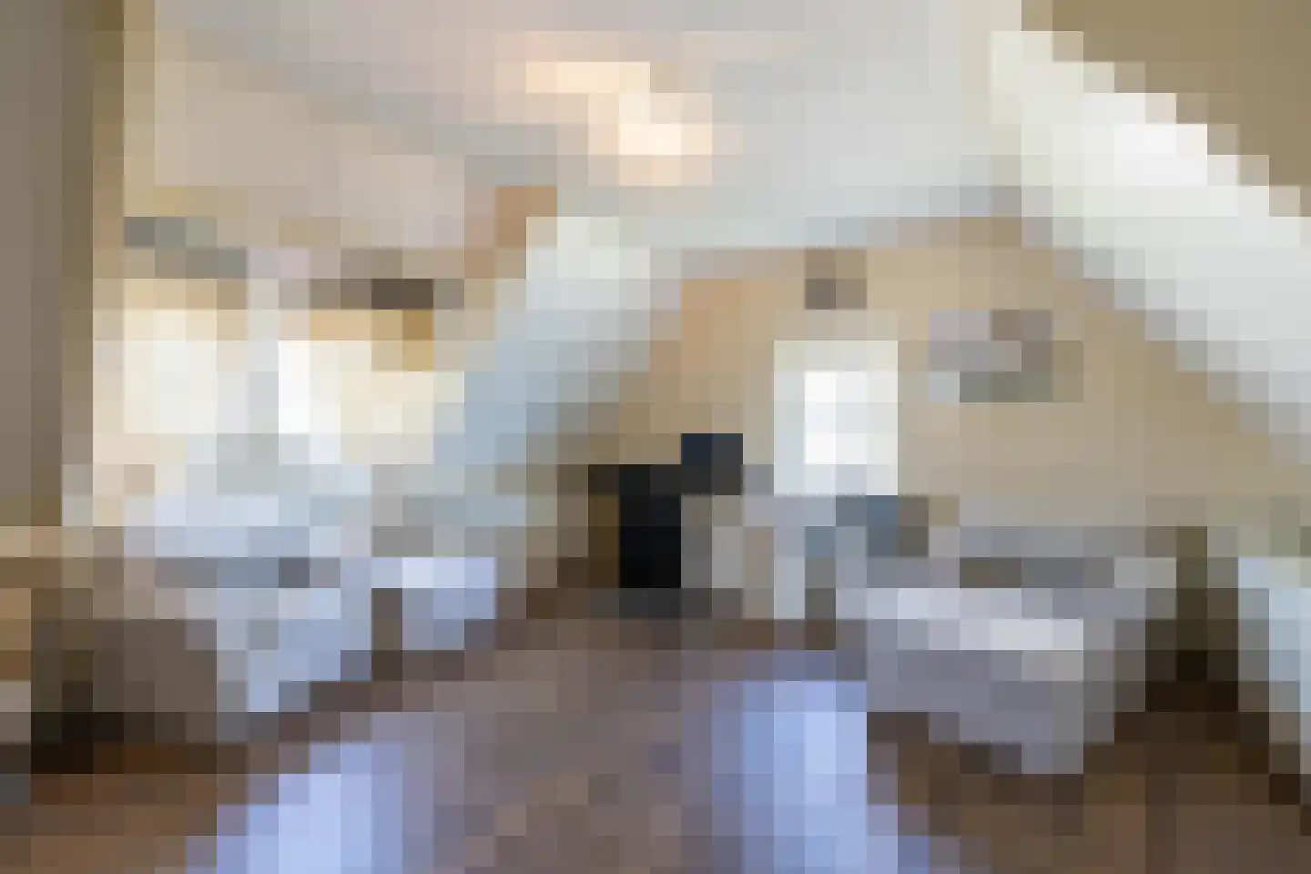 Wittem 33 Almelo thumbnail 30