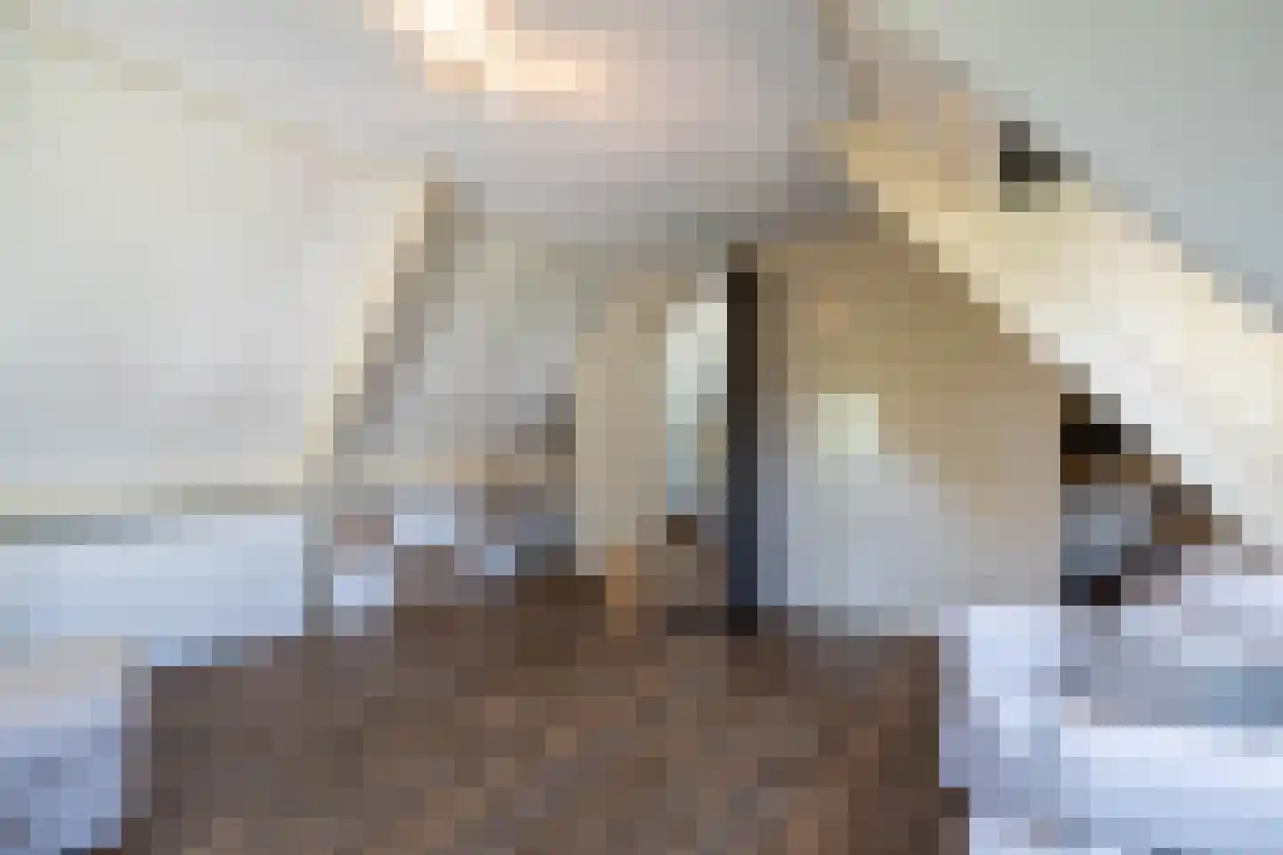 Wittem 33 Almelo thumbnail 31