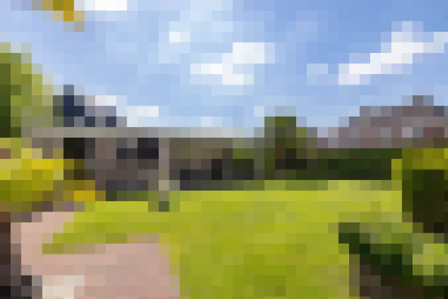 Wittem 33 Almelo thumbnail 43