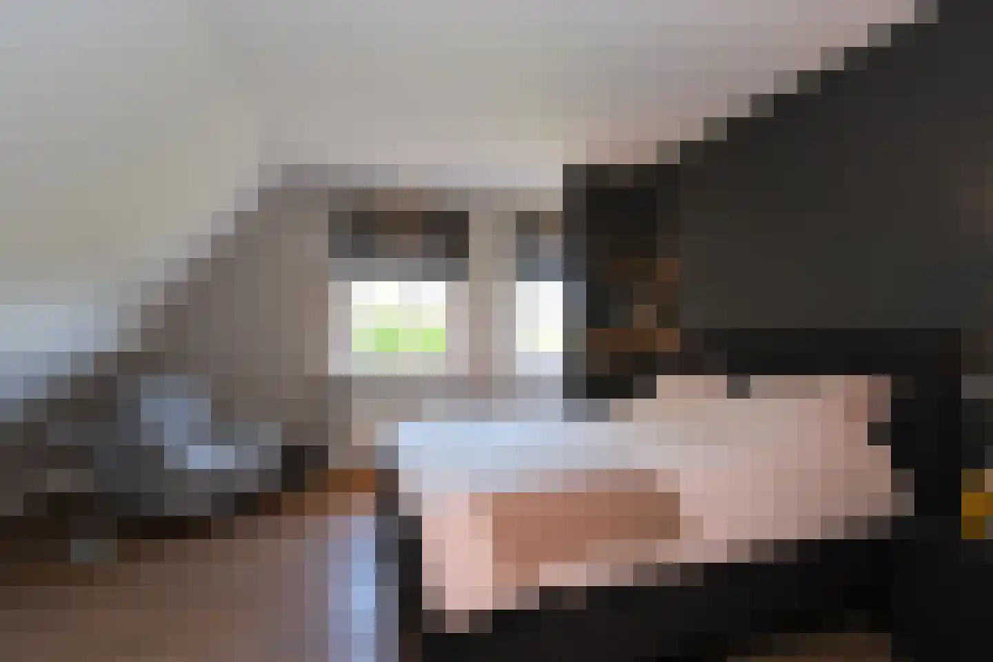 Wittem 43 Almelo thumbnail 24
