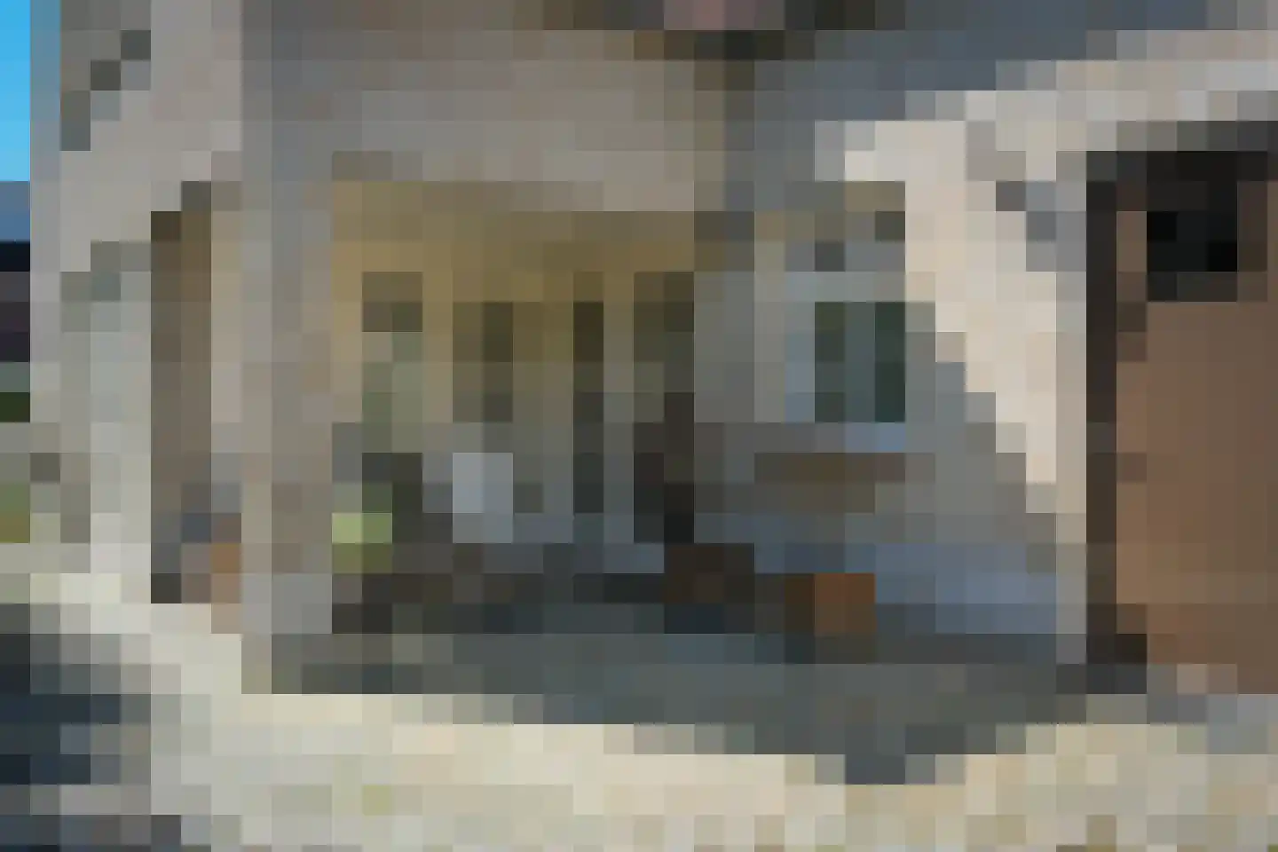 Wittem 43 Almelo thumbnail 37