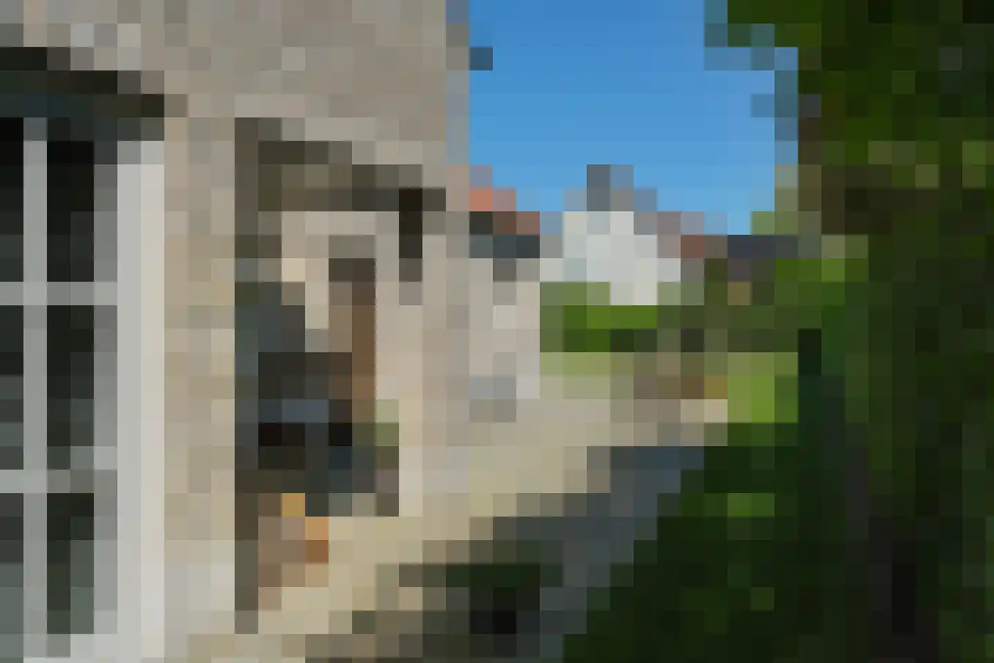 Wittem 43 Almelo thumbnail 38