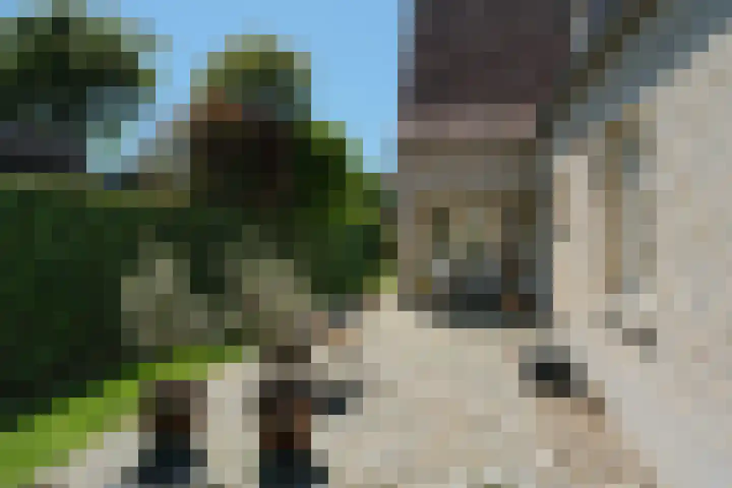 Wittem 43 Almelo thumbnail 39