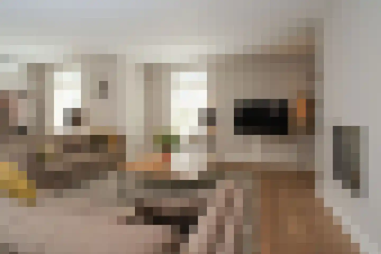 Wittem 43 Almelo thumbnail 7