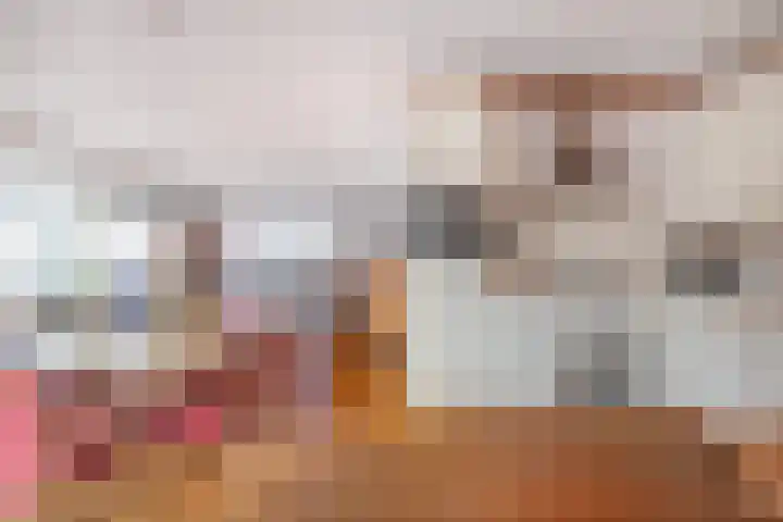 Wittem 6 Emmeloord thumbnail 12