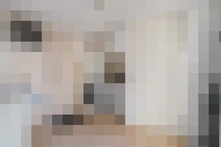 Wittem 6 Emmeloord thumbnail 13
