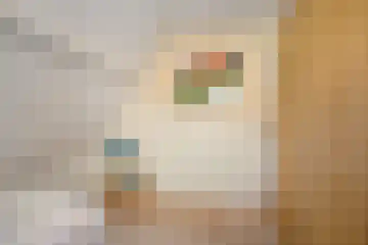 Wittem 6 Emmeloord thumbnail 18