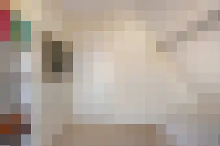 Wittem 6 Emmeloord thumbnail 20