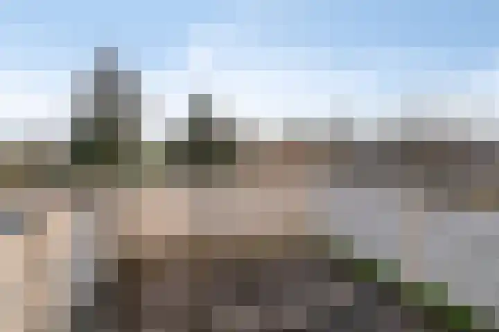 Wittem 6 Emmeloord thumbnail 26