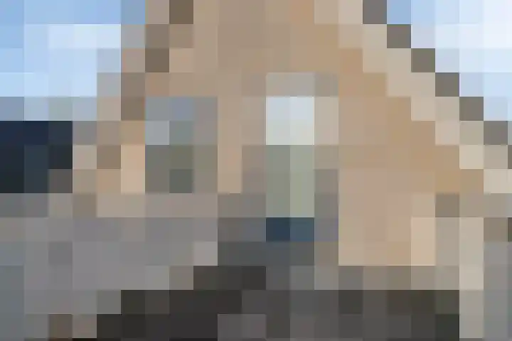 Wittem 6 Emmeloord thumbnail 27