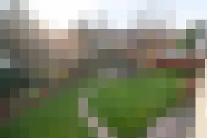 Wittem 6 Emmeloord thumbnail 29