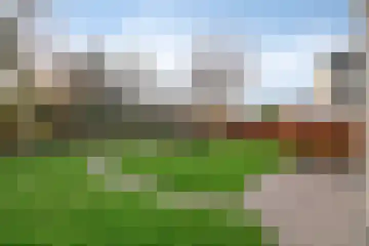 Wittem 6 Emmeloord thumbnail 30