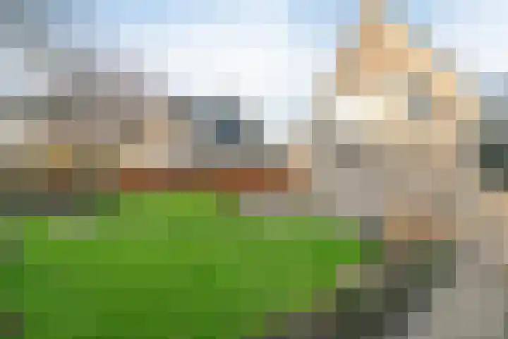 Wittem 6 Emmeloord thumbnail 31