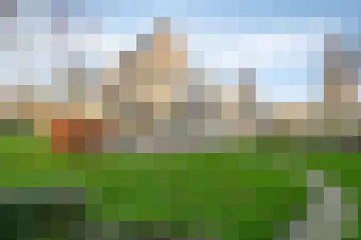 Wittem 6 Emmeloord thumbnail 32