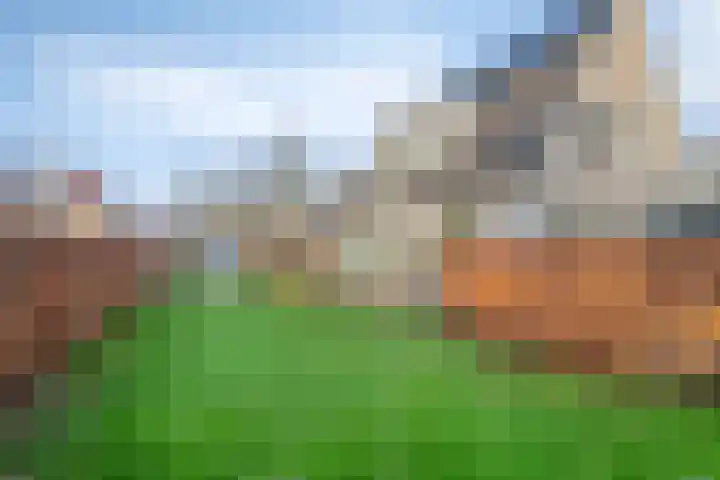 Wittem 6 Emmeloord thumbnail 33