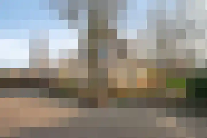 Wittem 6 Emmeloord thumbnail 36