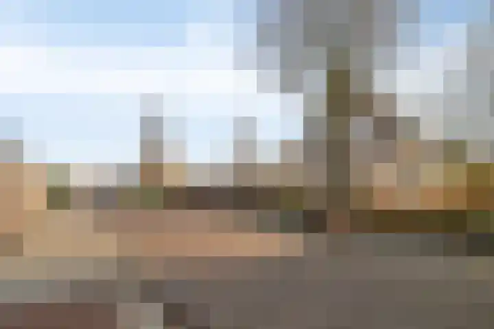 Wittem 6 Emmeloord thumbnail 37