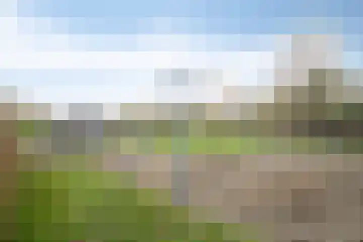 Wittem 6 Emmeloord thumbnail 38