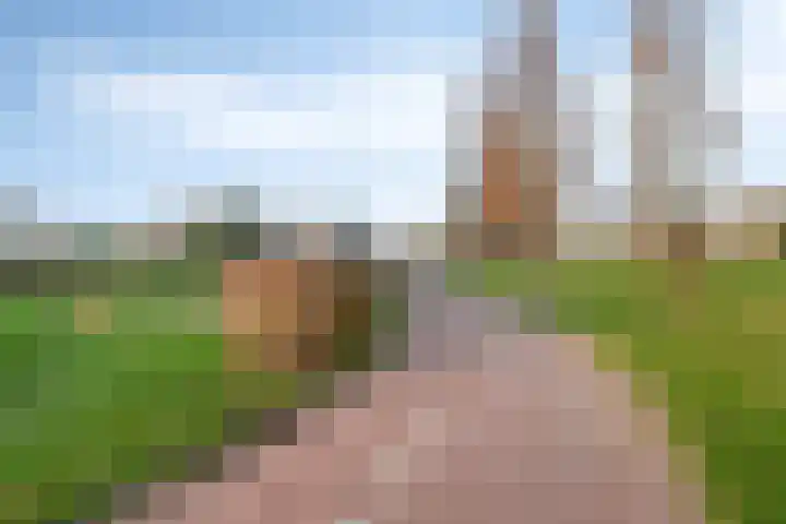 Wittem 6 Emmeloord thumbnail 40