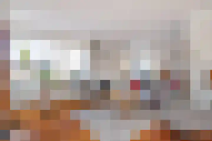 Wittem 6 Emmeloord thumbnail 6
