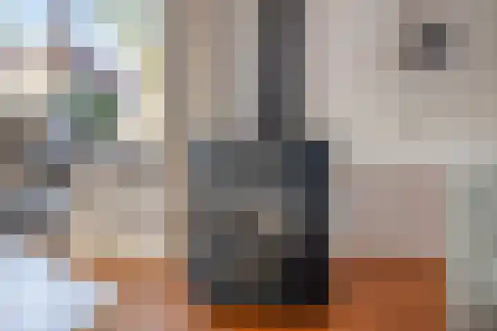 Wittem 6 Emmeloord thumbnail 8