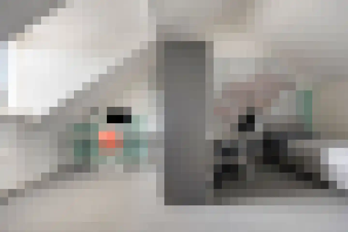 Wittem 7 Emmeloord thumbnail 33