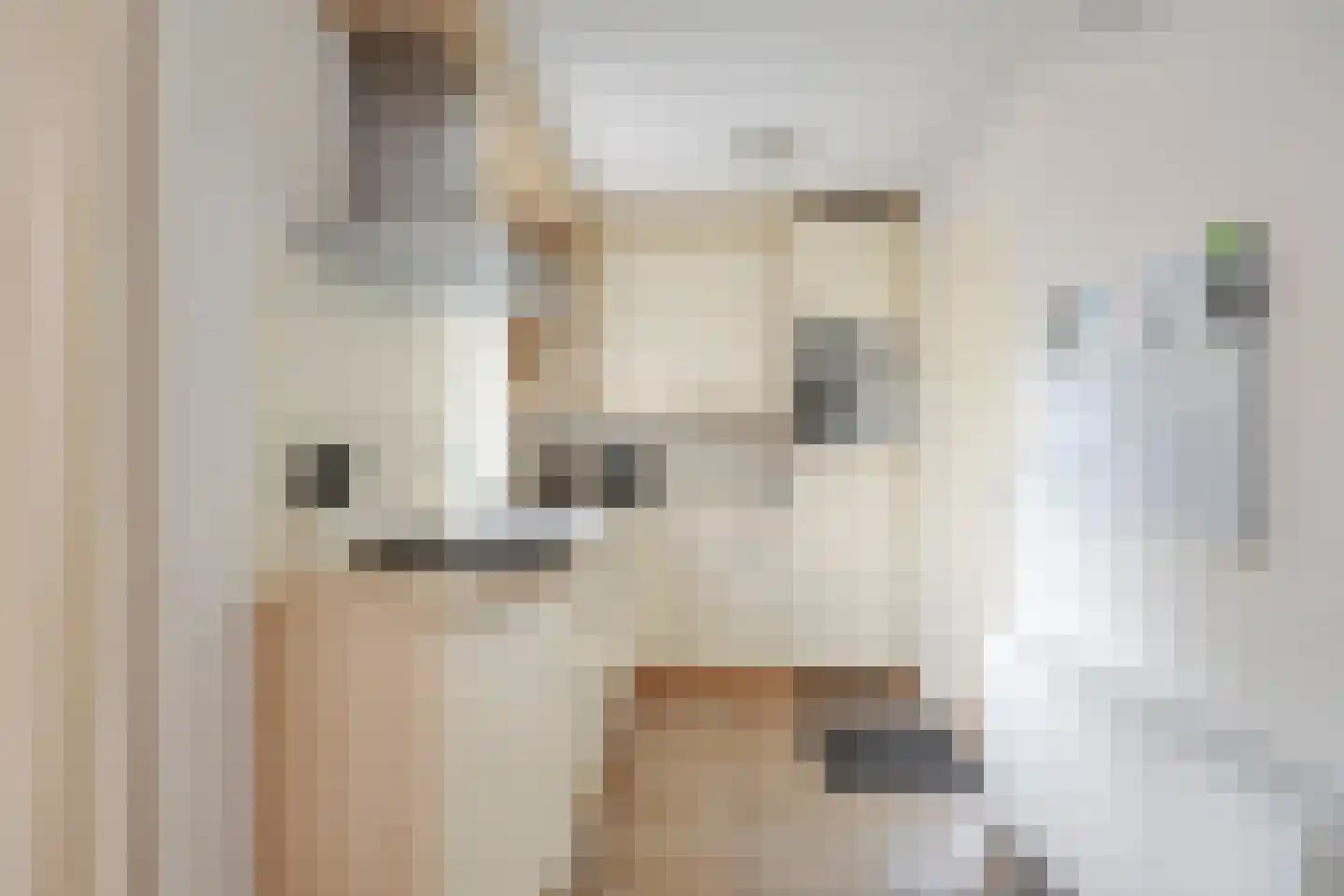 Wittem 7 Emmeloord thumbnail 4