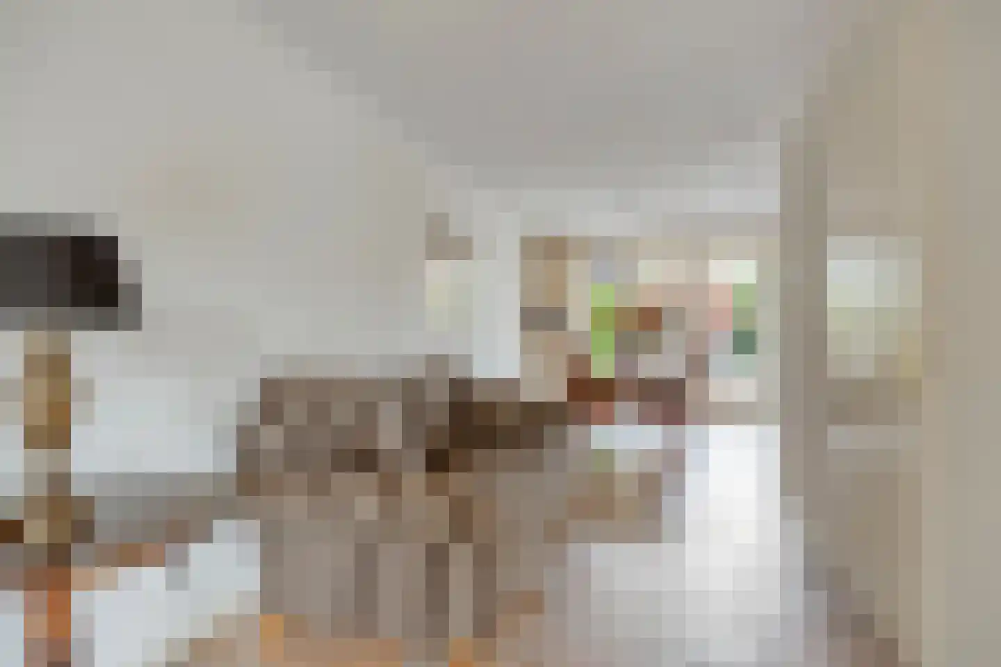 Wittem 7 Emmeloord thumbnail 9