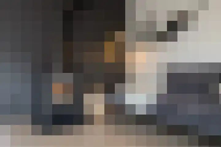 Wittemerslag 10 Wijhe thumbnail 10