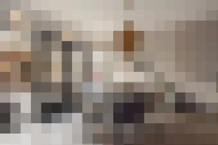 Wittemerslag 10 Wijhe thumbnail 12