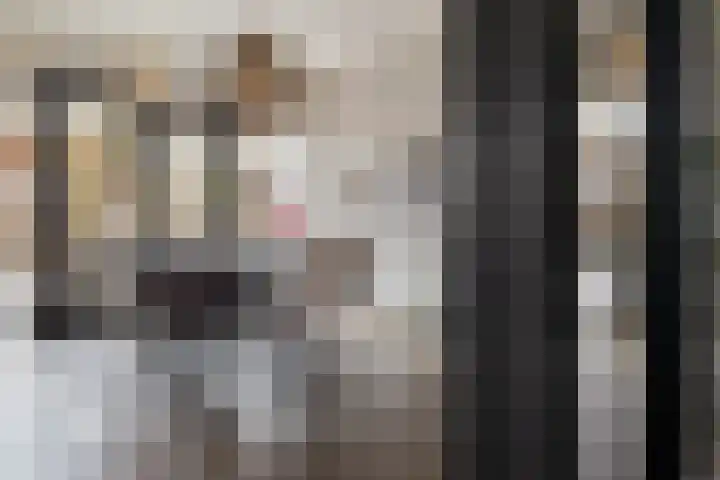 Wittemerslag 10 Wijhe thumbnail 13
