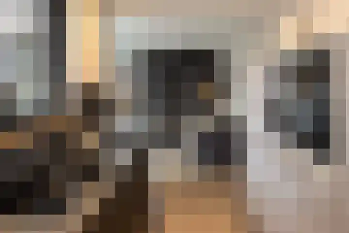 Wittemerslag 10 Wijhe thumbnail 14